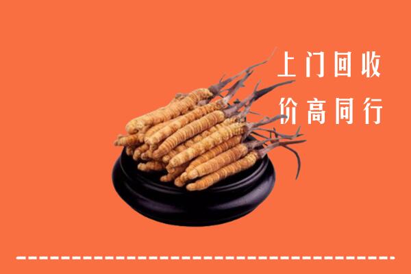 高价求购：乌翠区回收散虫草