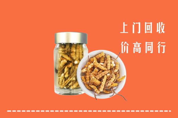 乌翠区高价回收冬虫夏草